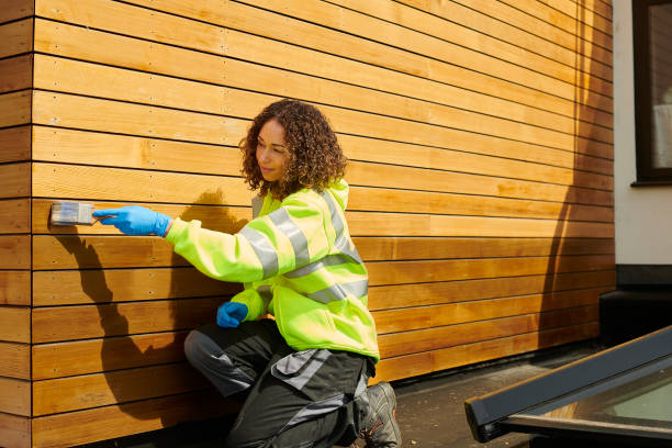 Best Siding Replacement  in Como, MS
